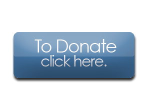 donate button